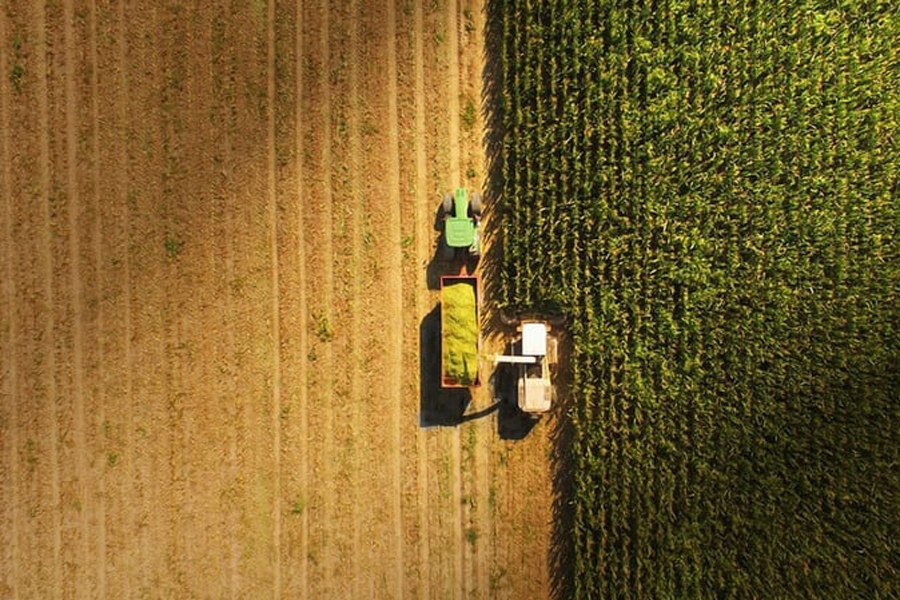 Agriculture Dealer Management System Knowlege Base
